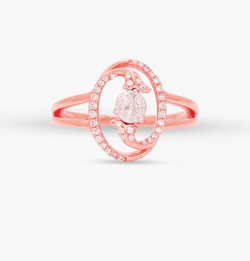The Sui Generis Ring